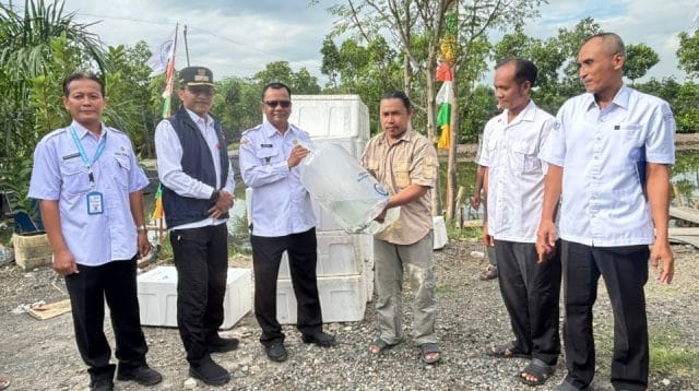 Penyerahan bantuan benih kakap putih Brebes kepada Pokdakan di Randusanga