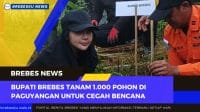 Bupati Brebes menanam pohon dalam kegiatan penghijauan di Paguyangan