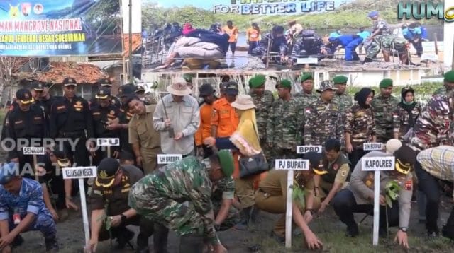 Penanaman Mangrove Serentak di Brebes Warga dan pemerintah Brebes tanam mangrove di pesisir Brebes