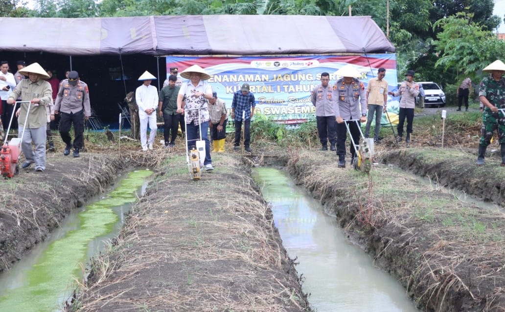 Wakil Bupati dan Wakapolres Brebes menanam jagung serentak di Desa Wangandalem Kecamatan Brebes