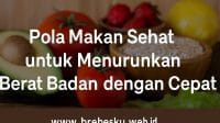 Pola makan sehat untuk menurunkan berat badan dengan menu diet seimbang